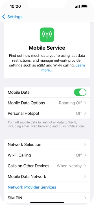 Press Mobile Data Options.