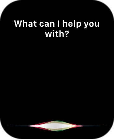 Say, in your own words, what you would like your Apple Watch to do.