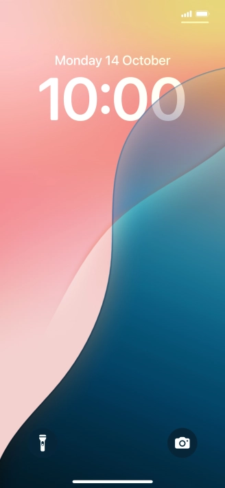 Press and hold anywhere on the lock screen.