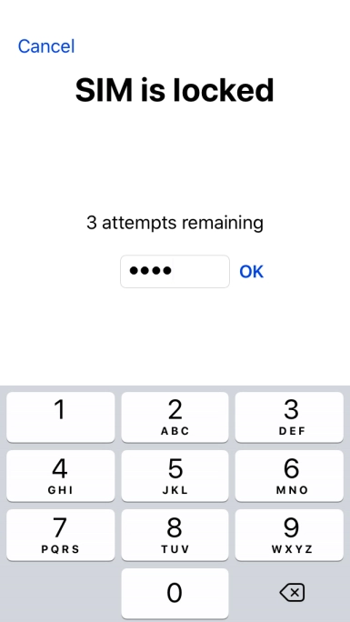 If your SIM is locked, key in your PIN and press OK.