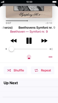Press Shuffle to turn the function on or off.
