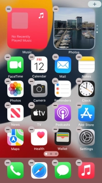 Press the home screen icon.