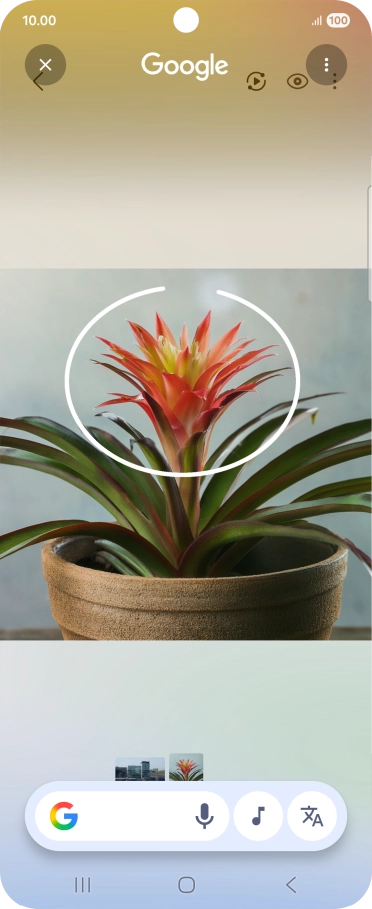 Draw a circle around the required object on the picture and wait for the search results.