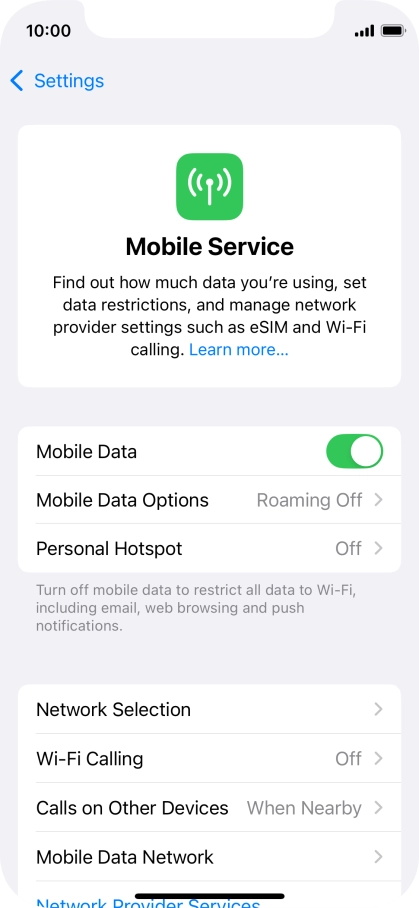 Press Mobile Data Options.