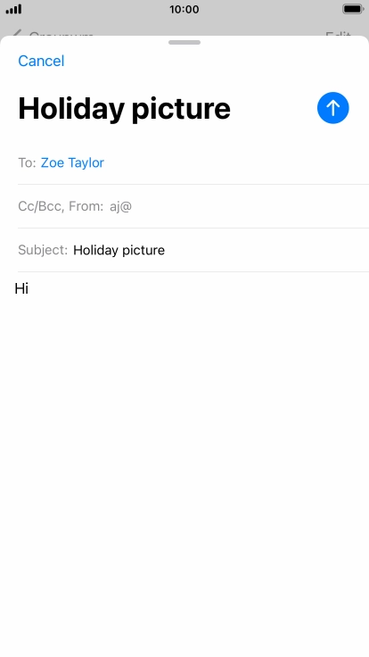 Press and hold the text input field until a pop-up menu is displayed.