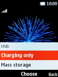 Select Mass storage.