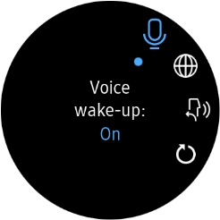 Press the language icon.