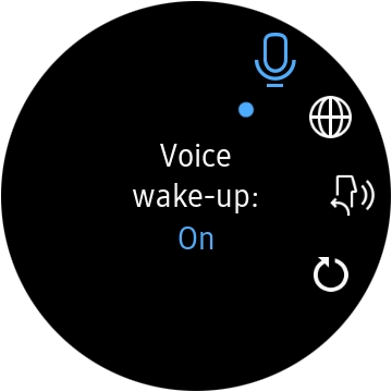 Press the language icon.
