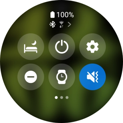 Press the suppression of calls and notifications icon to turn the function on or off.