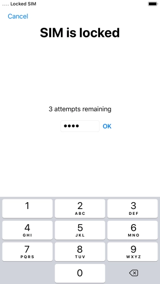 If your SIM is locked, key in your PIN and press OK.