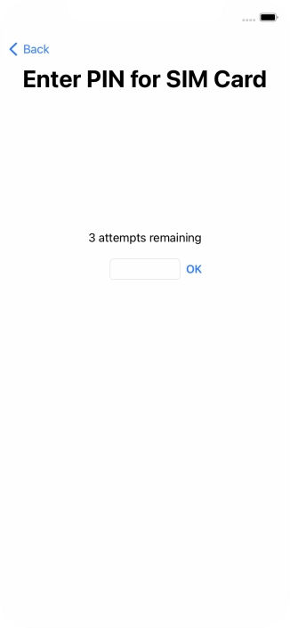 If your SIM is locked, key in your PIN and press OK.