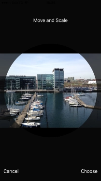 Drag the frame to the required position to select the required detail and press Choose.