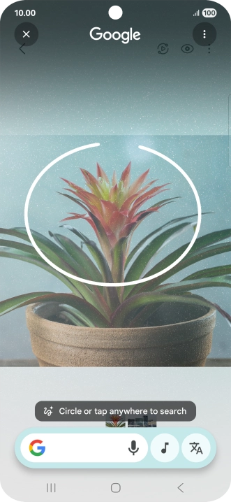 Draw a circle around the required object on the picture and wait for the search results.