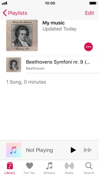Go to the required category or playlist and press the required audio file.