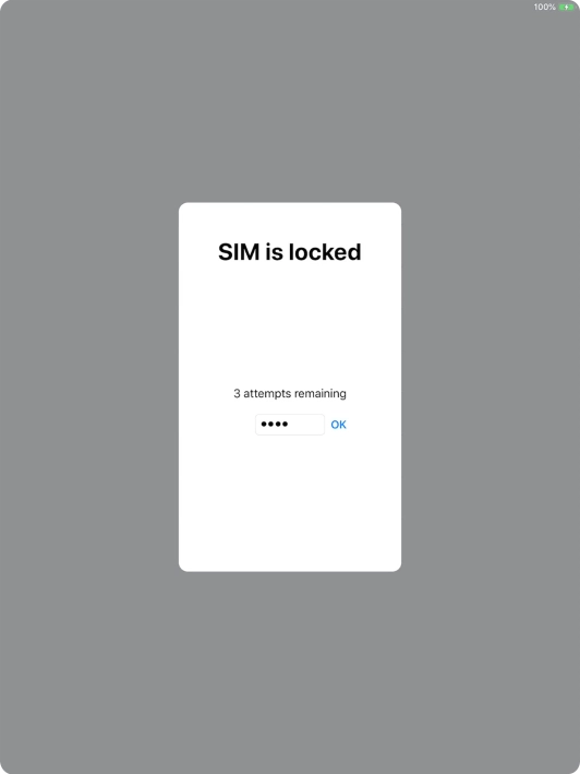 If your SIM is locked, key in your PIN and press OK.