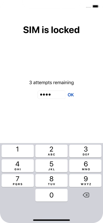 Key in your PIN and press OK.