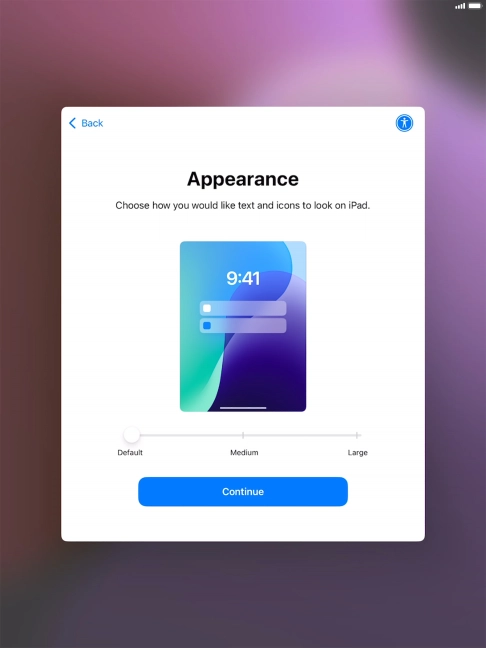 Select the required text and icon size on your tablet and press Continue.