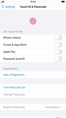 Press Turn Passcode On and key in a phone lock code of your own choice twice.
