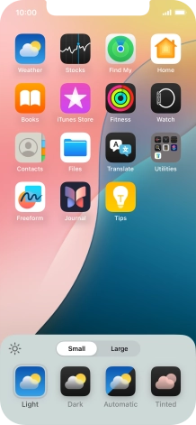 Press the required setting to select the size of app icons on the home screen.