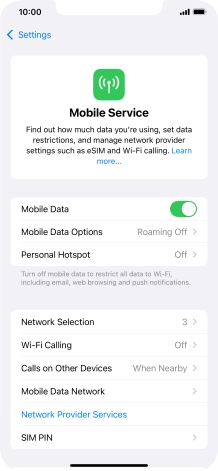 Press Mobile Data Options.