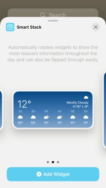 Slide your finger right or left on the screen to select the required widget size.