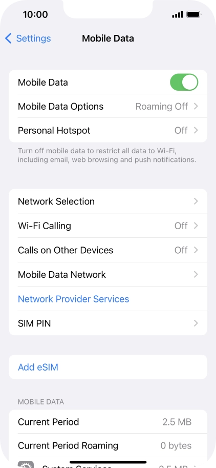 Press Mobile Data Options.