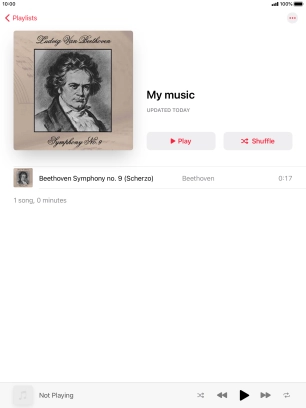 Go to the required category or playlist and press the required audio file.