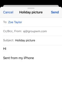 Press and hold the text input field until a pop-up menu is displayed.