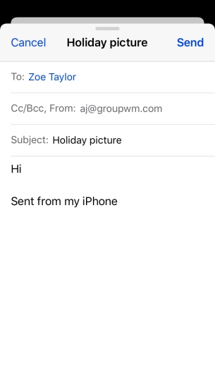 Press and hold the text input field until a pop-up menu is displayed.