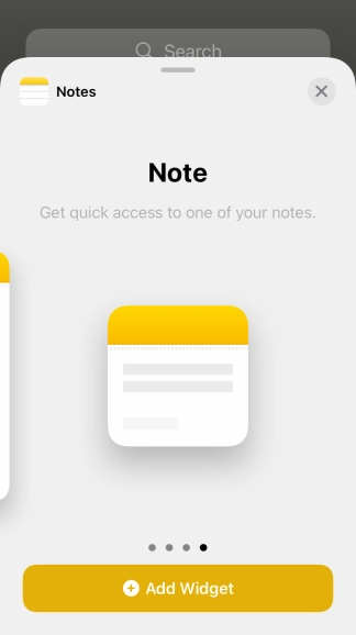 Slide your finger right or left on the screen to select the required widget size.