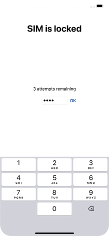 If your SIM is locked, key in your PIN and press OK.