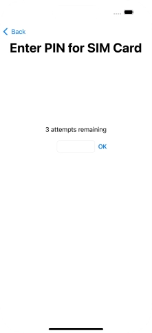 If your SIM is locked, key in your PIN and press OK.
