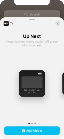 Slide your finger right or left on the screen to select the required widget size.