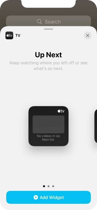 Slide your finger right or left on the screen to select the required widget size.