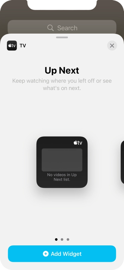 Slide your finger right or left on the screen to select the required widget size.