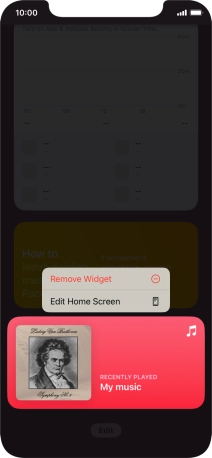 Press Remove Widget.