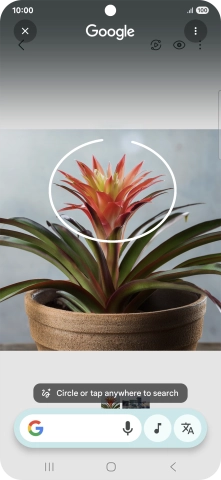 Draw a circle around the required object on the picture and wait for the search results.