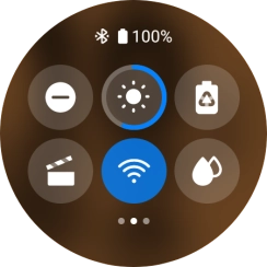 Press the suppression of calls and notifications icon to turn the function on or off.