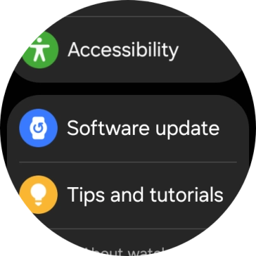Press Software update.