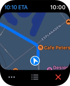 Turn the Digital Crown to zoom in or out on the map.