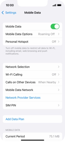 Press Mobile Data Options.