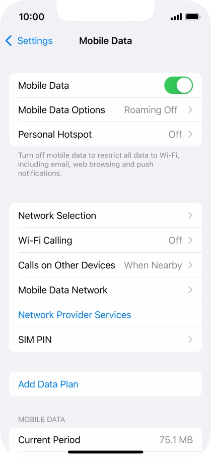 Press Mobile Data Options.
