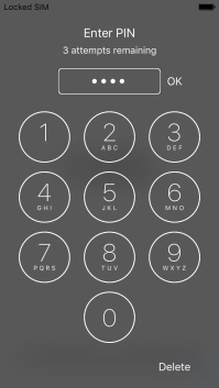 Key in your PIN and press OK.
