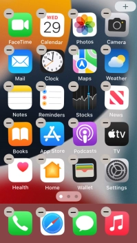 Press the home screen icon.