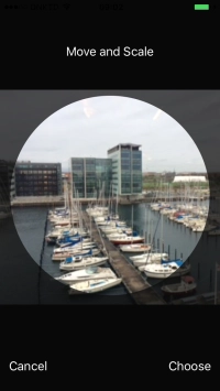 Drag the frame to the required position to select the required detail and press Choose.