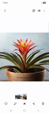 Go to the required picture.