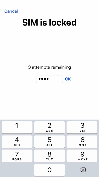 If your SIM is locked, key in your PIN and press OK.