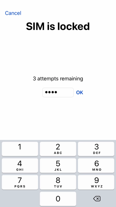 If your SIM is locked, key in your PIN and press OK.