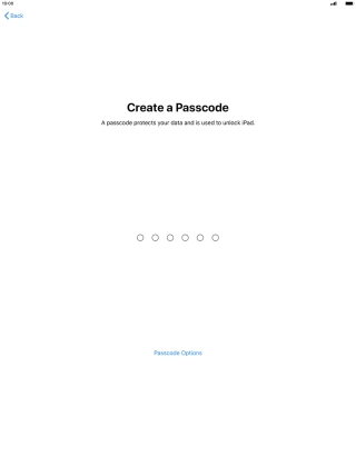 Press Passcode Options.