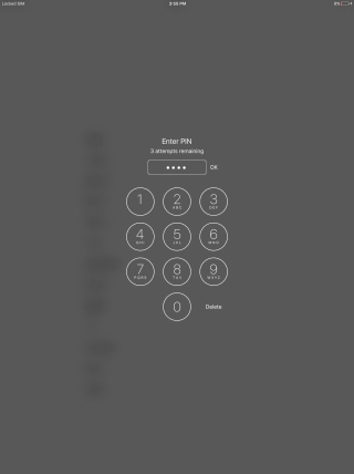 Key in your PIN and press OK.